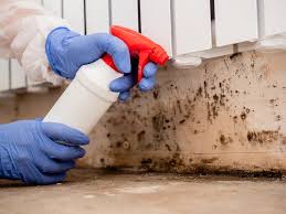 Best Airborne Mold Testing in Farmersville, CA